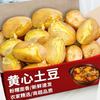 花慕辰 黄心 爆皮 土豆 4.5斤装