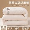 瑞眠国际 大豆被夏凉被可机洗春秋被子四季通用家用冬被双单人棉被空调被芯
