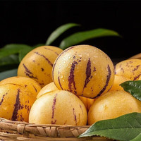 初石云南石林树上熟人参果圆果黄肉产地直发精选新鲜采摘 云南人参果1 精选 净重 5斤单果90g+