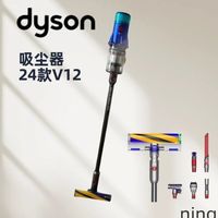 百亿补贴：戴森 dyson 吸尘器24款v12DSF全新国行[拆封后不支持7天无理由]
