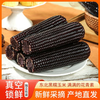 玉颜色 中国大陆 黑糯玉米 300g*4支/箱