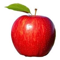 京地达新西兰加力果净重4.2斤单果175g苹果水果 源头直发 加力果苹果净重4.2斤