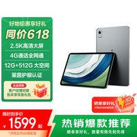 联想 Lenovo 异能者 12.6英寸 4G通话全网通游戏娱乐TUV爱眼节能云平板2.5K IPS屏12G+512G K30太空灰 K30(12G+512G)4G太空灰