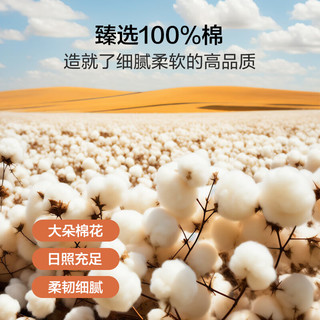 博洋家纺纯棉床单印花全棉被单床罩单件套 向阳花 160*230cm