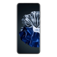 华为 P60 超聚光XMAGE影像 羽砂黑 8GB+256GB 手机