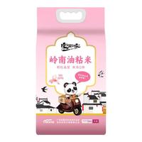 宋稻家 岭南油粘米 软香弹滑 5kg 大米