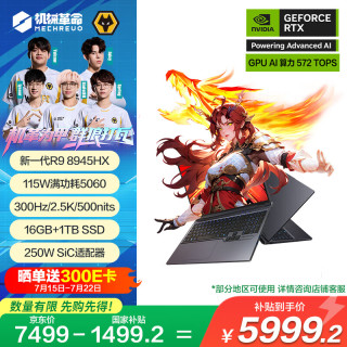 机械革命 蛟龙16Pro 2025 16英寸游戏电竞笔记本电脑(R9-8945HX 16G 1T RTX5060 300HZ 2.5K 灰)