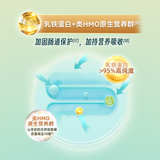 爱荷美EkoBaby/爱荷美碧兰多婴幼儿配方羊奶粉2段350g 6-12个月
