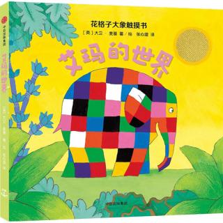 88VIP：《花格子大象触摸书·艾玛的世界》（精装）