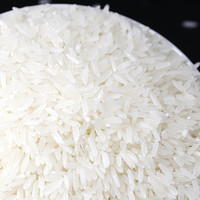 新天润 当季新米 台山丝苗米 15kg 三十斤 南方籼米 长粒大米新供销天润 【1-3人】真空装5kg