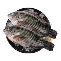 GUO LIAN国联水产 三去罗非鱼6条/4.2斤 海鲜鱼类 源头直发年货节  700g*3袋 共6条