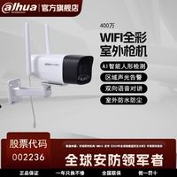 百亿补贴：大华 400万无线摄像头手机远程家用智能全彩监控器室外防水摄像机