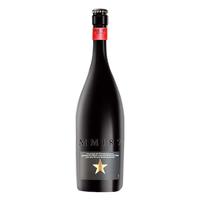 INEDIT 大星精酿啤酒 750mL 1瓶