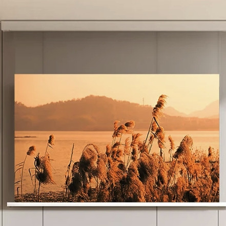 知影 电动悬浮光子幕 100英寸 16:9