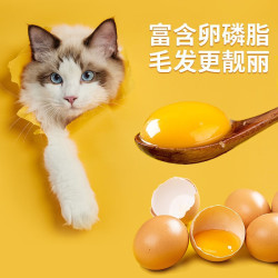 瓜洲牧 冻干猫粮装成猫5kg幼猫增肥营养发腮全价通用 新型双拼猫粮 0