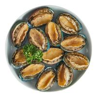 江船长冷冻鲍鱼净重160g(18-22粒)/袋*3 火锅烧烤食材 煲汤海鲜 带壳鲍鱼160g(18-22粒)/袋*3
