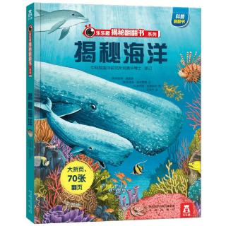 88VIP：《乐乐趣揭秘翻翻书系列·揭秘海洋》（精装）