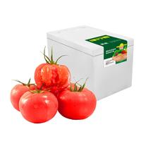绿行者（GREER）桃太郎粉番茄 4.5斤 单果130g+ 约11-18枚 西红柿蔬菜 源头直发 