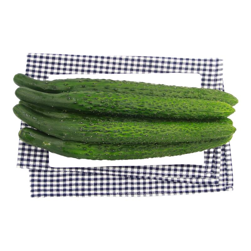 GREENSEER 绿鲜知 长黄瓜 1kg