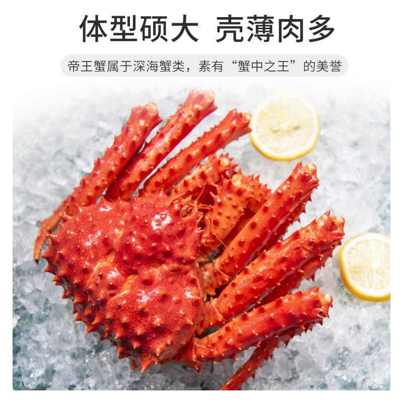 今锦上鲜活熟冻帝王蟹智利大螃蟹净重800-1000g