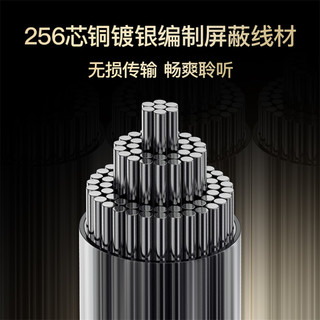 SHUOER 铄耳 入耳式有线耳机 4.4mm 金银色