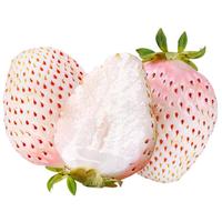 酷友淡雪白草莓【空运次日达】日本品种天使白雪公主粉色草莓礼盒装 500g小果(白色两盒40颗装)