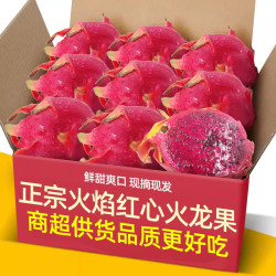 果乡趣 正宗云南高山火焰品种红心火龙果3-5斤海南金都一号新鲜水果红肉
