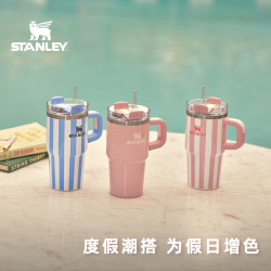 斯坦利 吸管杯保温杯条纹水杯子20oz车载不锈钢大容量小巨无霸杯