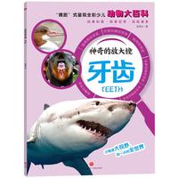 《神奇的放大镜·牙齿》