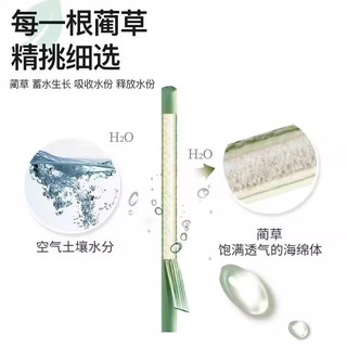 席师傅天然草席凉席蔺草夏季折叠加厚1.81.5家用老式春夏两用席子 绣花补水小花蔺草席*配送枕套 1.2m（4英尺）床