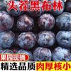 现摘黑布林李子5斤新鲜脆李三华脱骨孕妇蜂糖水果应当季整箱包邮