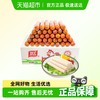 双汇 鸡肉火腿肠58克*30支