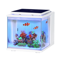 海享说 OCEAN WHISPER 智能海水鱼缸微趣海洋生态缸