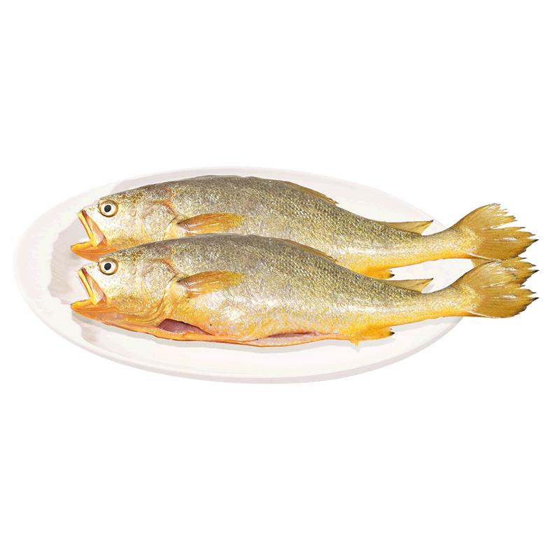 黄小渔 宁德三去大黄鱼300g*3条(净重900g) 黄花鱼 海鲜鱼类源头直发