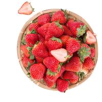 Mr.Seafood 京鲜生 红颜草莓 单果20-30g 1.4kg