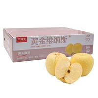 京鲜生 山东维纳斯雀斑苹果 3斤装 单果150g+ 生鲜水果 源头直发 【维纳斯苹果】3斤 单果 150g