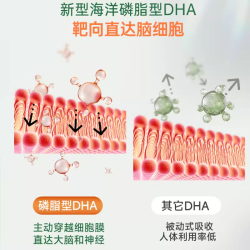 NY-O3 NYO3挪威胆碱DHA磷脂型脑动力鱼油升级记忆力补成人中老年脑增强