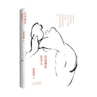 《月光落在左手上》（精装）