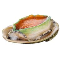 鲟食 澳洲青边鲍鲜活冷冻大鲍鱼带壳整只 生鲜贝类高端海鲜 澳洲青边鲍 500g -600g/只