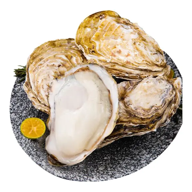 乳山牡蛎 鲜活乳山生蚝2XL号 特产年货 净重1.5kg 10-15只 2XL净重3斤装（尝鲜）