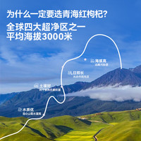 遥远地方枸杞原浆头茬青海红枸杞子汁即食特产青海袋装原浆 遥远地方枸杞原浆30ml*30袋