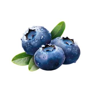 京鲜生 3人团！大号现货云南蓝莓（18mm+）125g*6盒