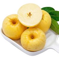 京鲜生山东黄金维纳斯苹果 净重4斤礼盒 单果160g+ 时令生鲜 源头直发 【礼盒装】黄金维纳斯4斤