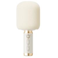 全民K歌 超长续航 无线蓝牙麦克风