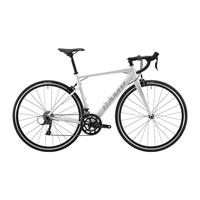 坎普（CAMP）全新RADON轻量化铝合金公路自行车SORA-R3000套件 白银 架高700C*480MM