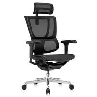 Ergonor 保友优b2/雄鹰 电脑椅人体工学椅家用 电竞椅办公椅子靠背老板椅 【优b雄鹰】黑色网 精准承托 舒适久坐