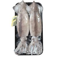 CHUXIAN 初鲜 鲜冻鱿鱼半只串650g 14串 铁板鱿鱼 烧烤食材 火锅 国产海鲜