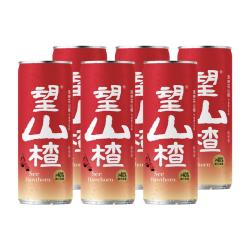 好望水 气泡果汁望山楂望杏福果汁气泡水碳酸饮料汽水火锅饮料露营摆台 望山楂 330ml*6罐