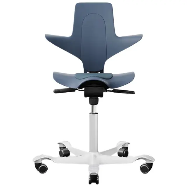 FLOKKHAG骑马椅人体工学椅电脑椅家用办公座椅学习椅 普鲁士蓝 中号