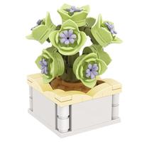 ZHEGAO 哲高 DS1013 光之恋曲